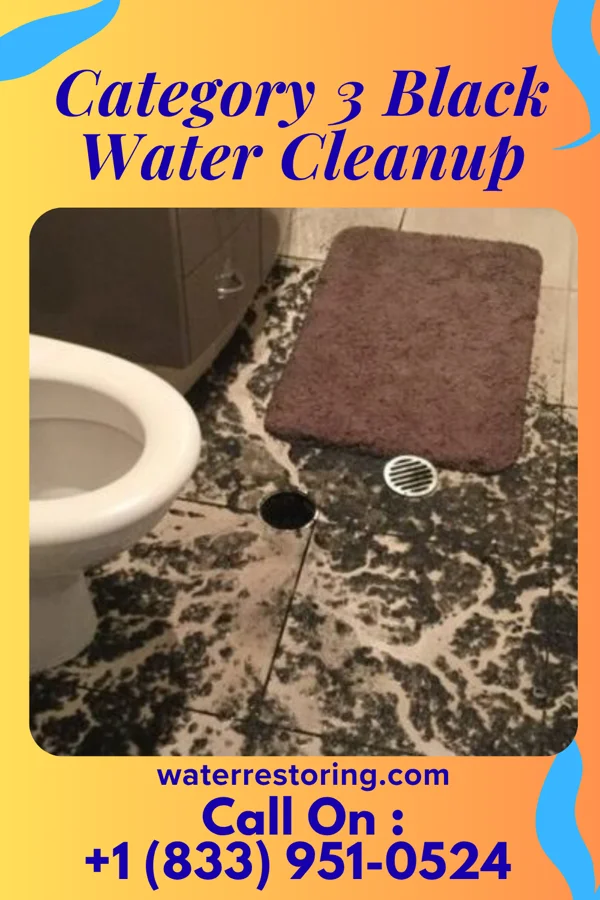 Category 3 Black Water Cleanup in Stanford, KY