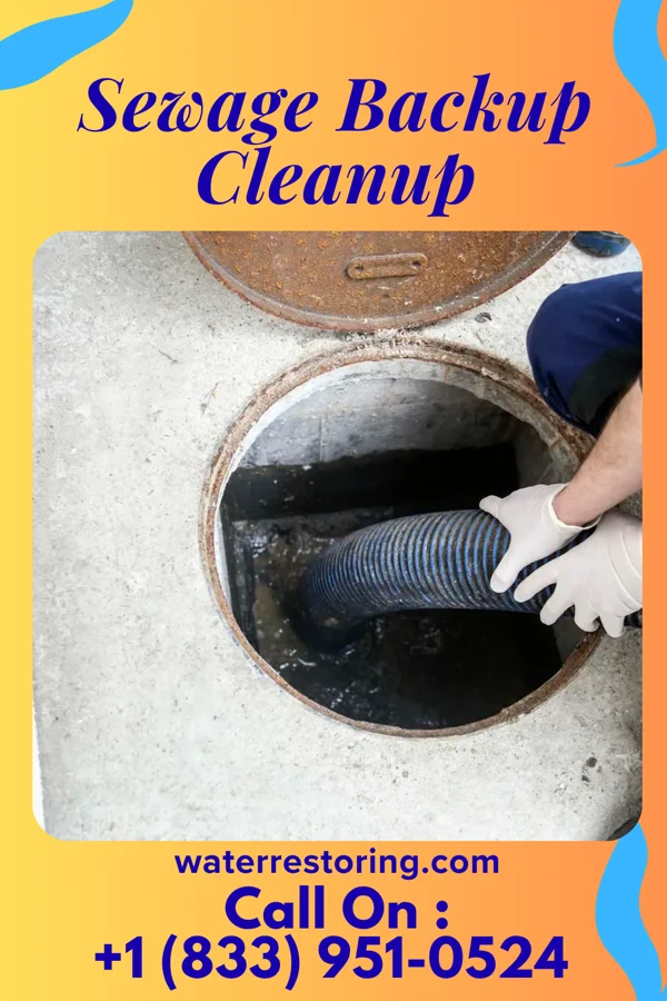 Sewage Backup Cleanup in Stanford, KY